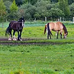 Zielone Wzgorze Semesterpark *