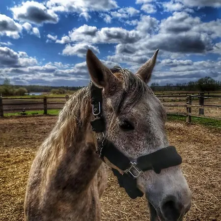 פארק נופש Zielone Wzgorze *