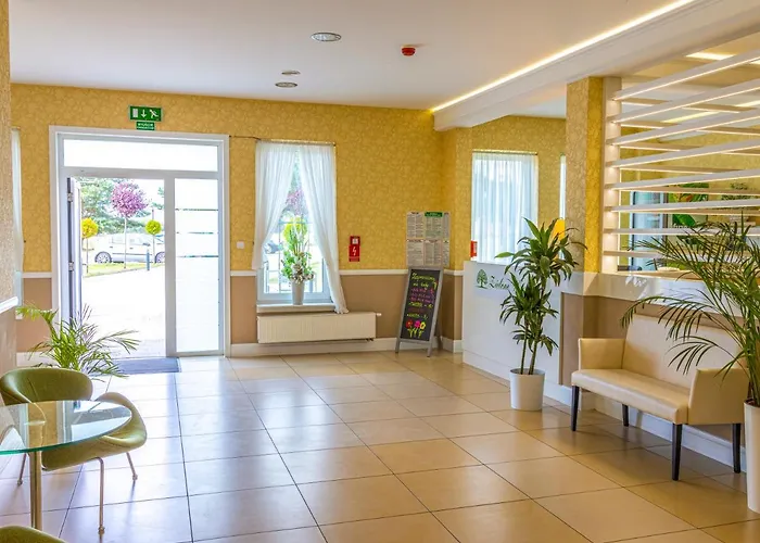 Zielone Wzgórze Lipiany